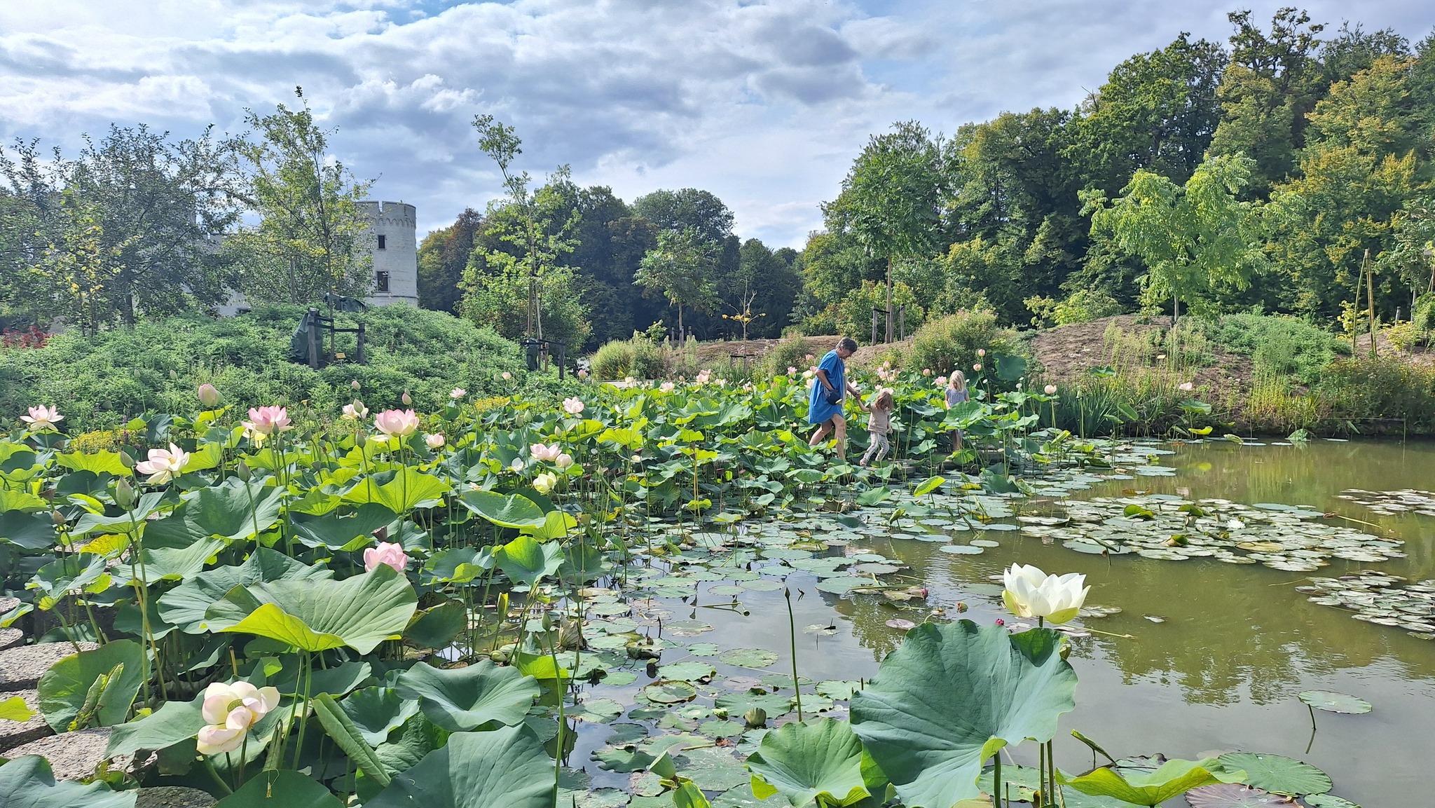 jardin-botanique-meise-92-hectares-10-km-bruxelles