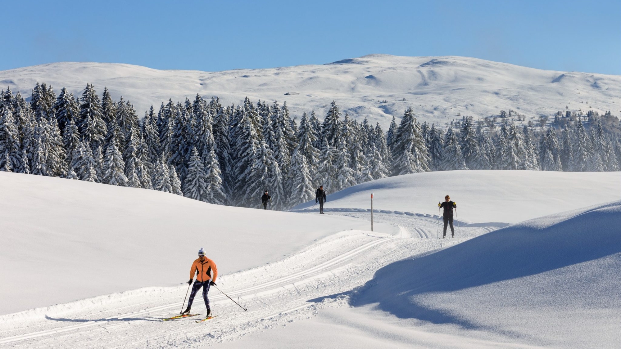 ski de fond dans le jura meilleurs spots