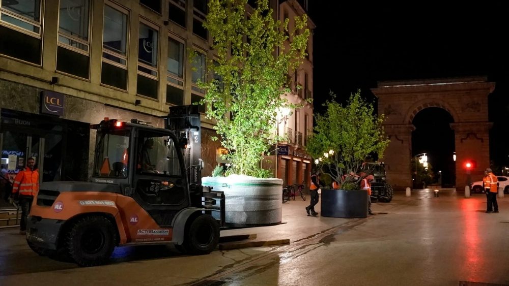 rue de la liberté arbres en pots