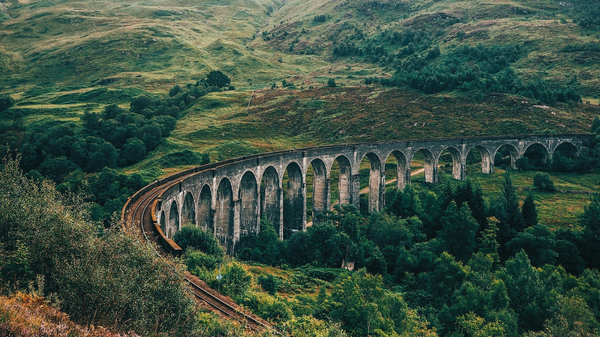 harry potter &agrave; dijon