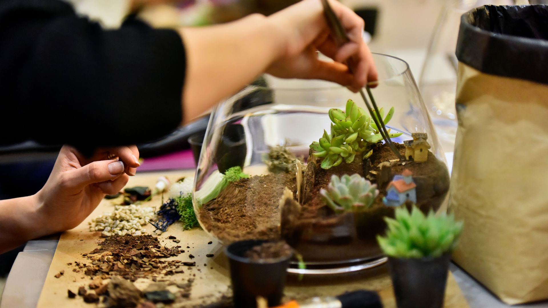 Terrarium à dijon atelier