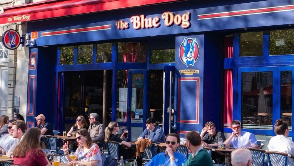 La Blue Dog place Emile Zola