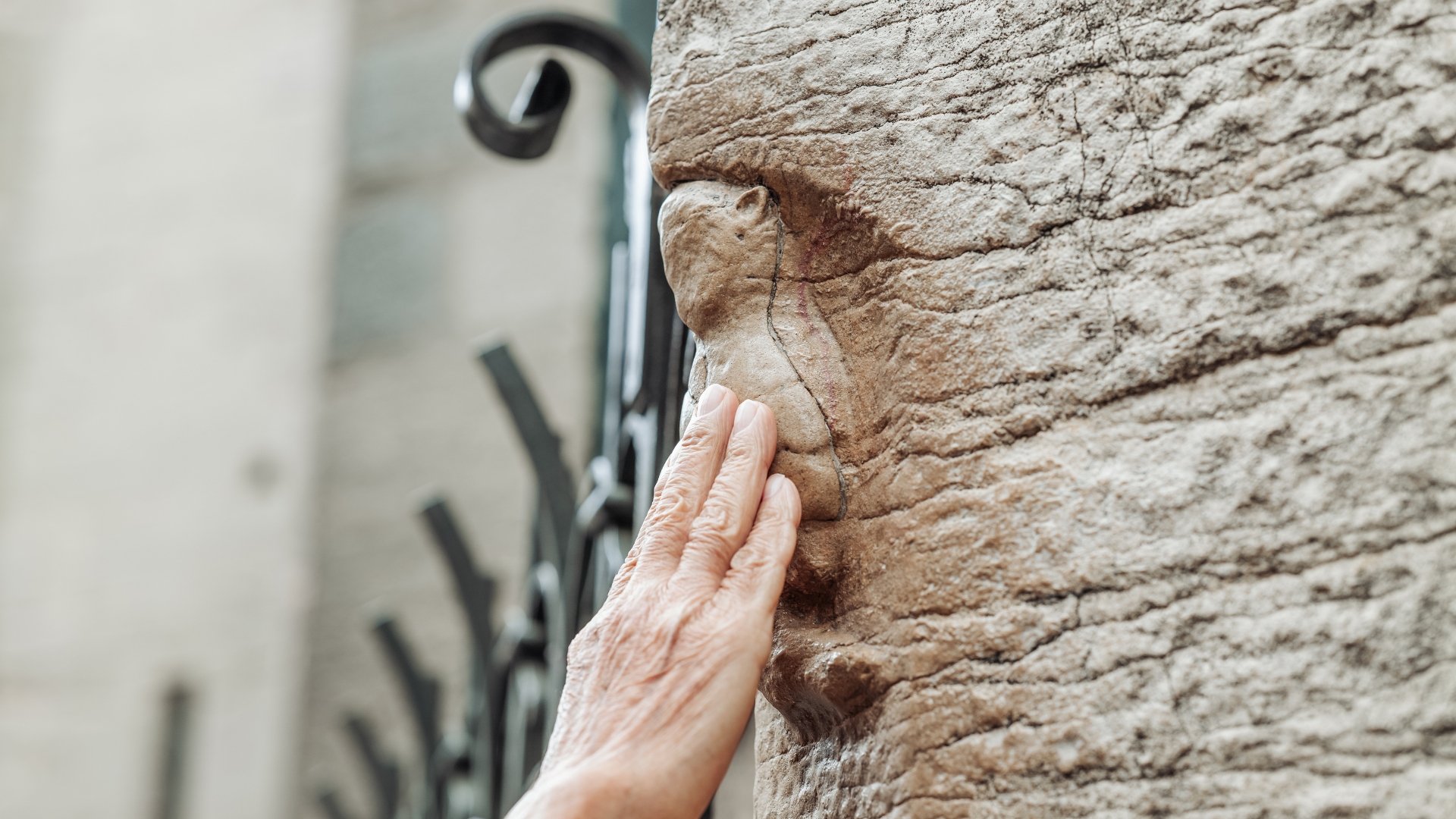 vraie histoire de la chouette de Dijon