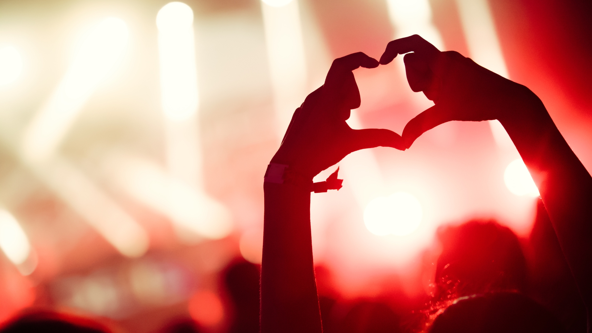 concert le zenith de dijon