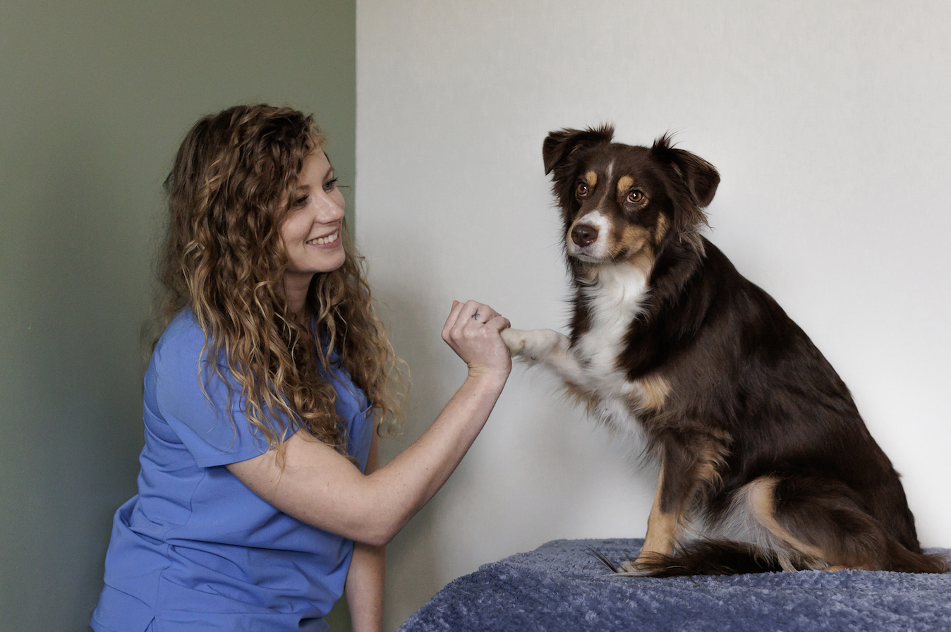 ces-deux-jeunes-lyonnaises-ont-lance-doctolib-animaux-compagnie