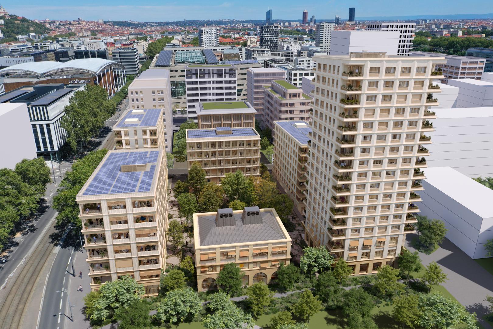 la-hora-lyon-confluence-bois-scolyte