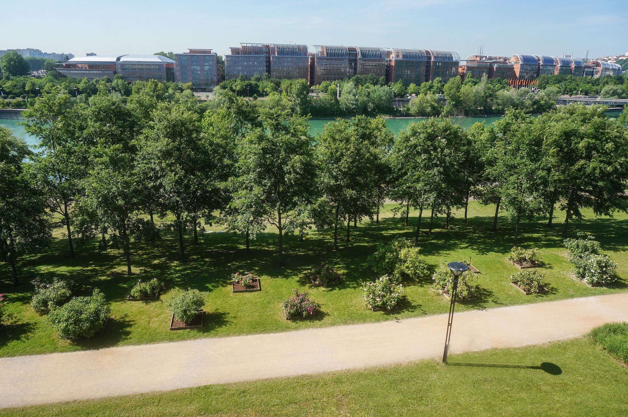 roseraie-saint-clair-caluire-lyon-150-especes-roses