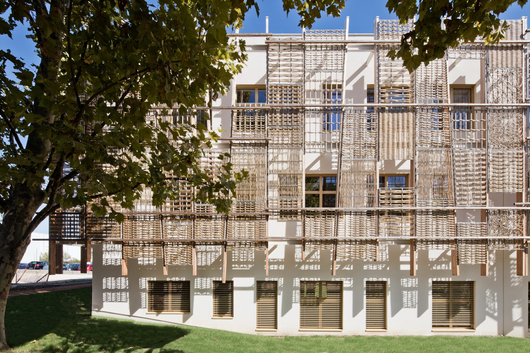 bjorg-marque-pionniere-bio-basee-lyon-depuis-plus-30-ans