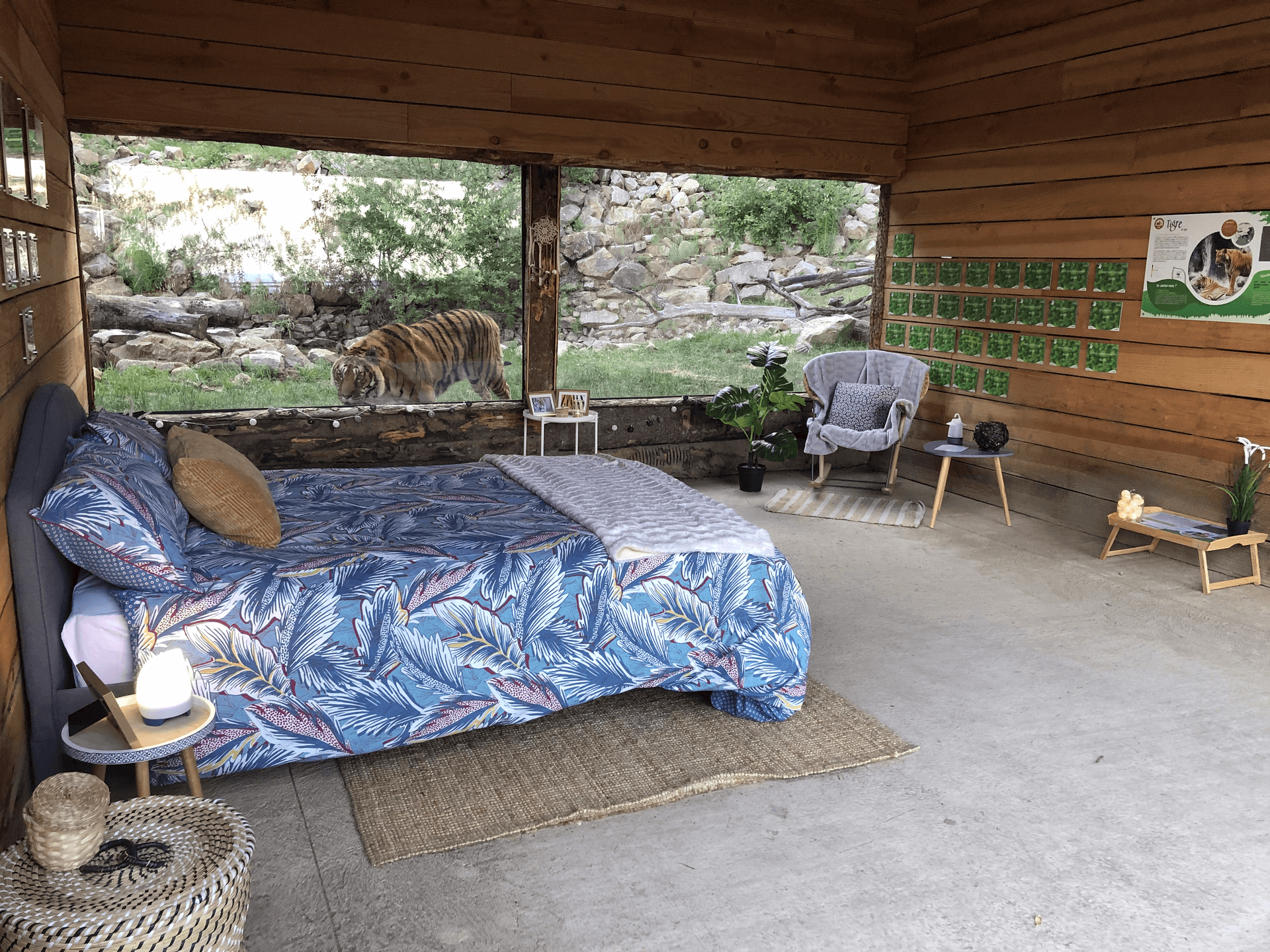 dormir-face-lions-girafes-experience-magique-parc-animalier-2h30-lyon