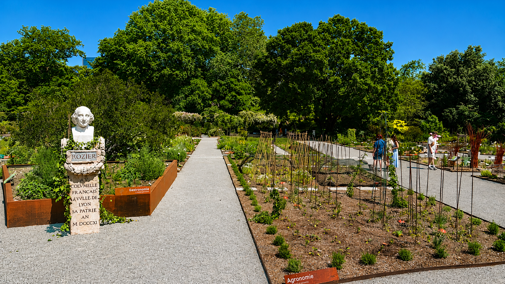 ecole-botanique-parc-lyon-rouvre-apres-travaux