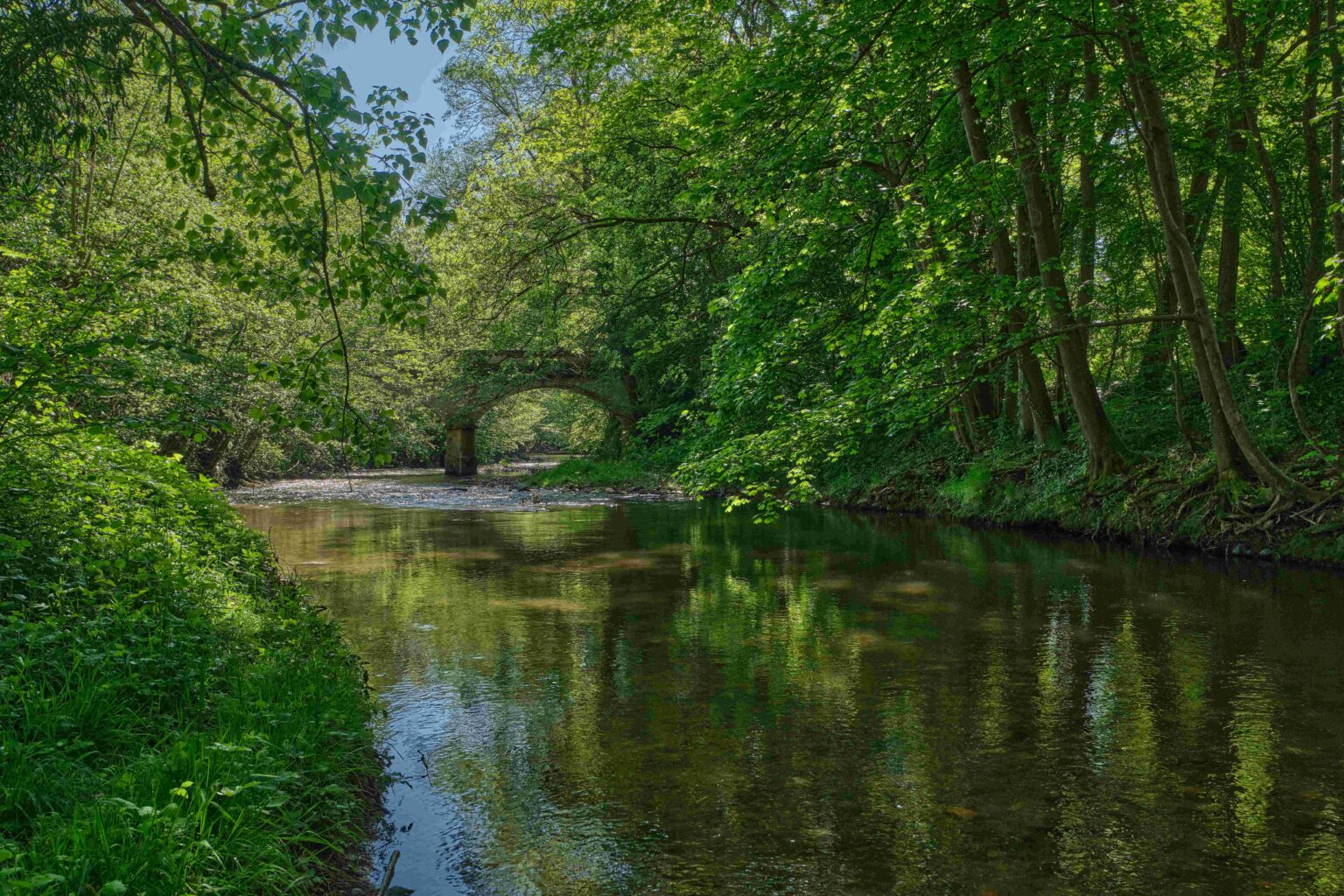a-40-minutes-lyon-randonnee-50-km-bord-eau-spot-fraicheur-parfait