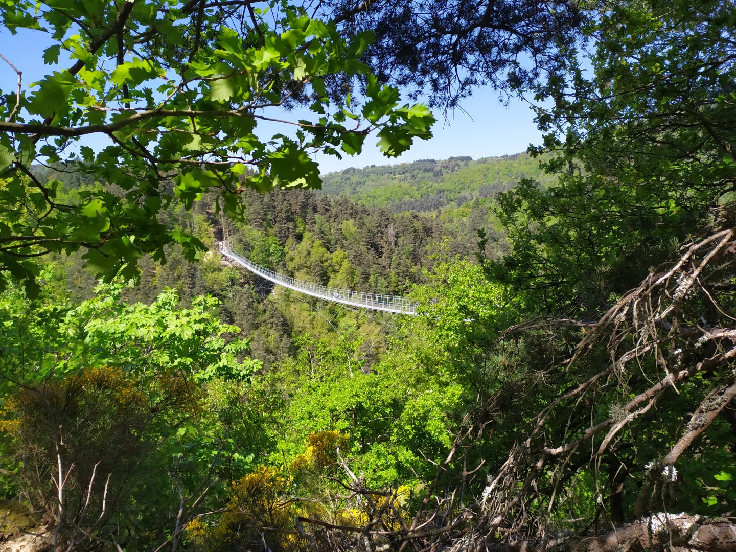 plus-grande-passerelle-france-gorges-lignon