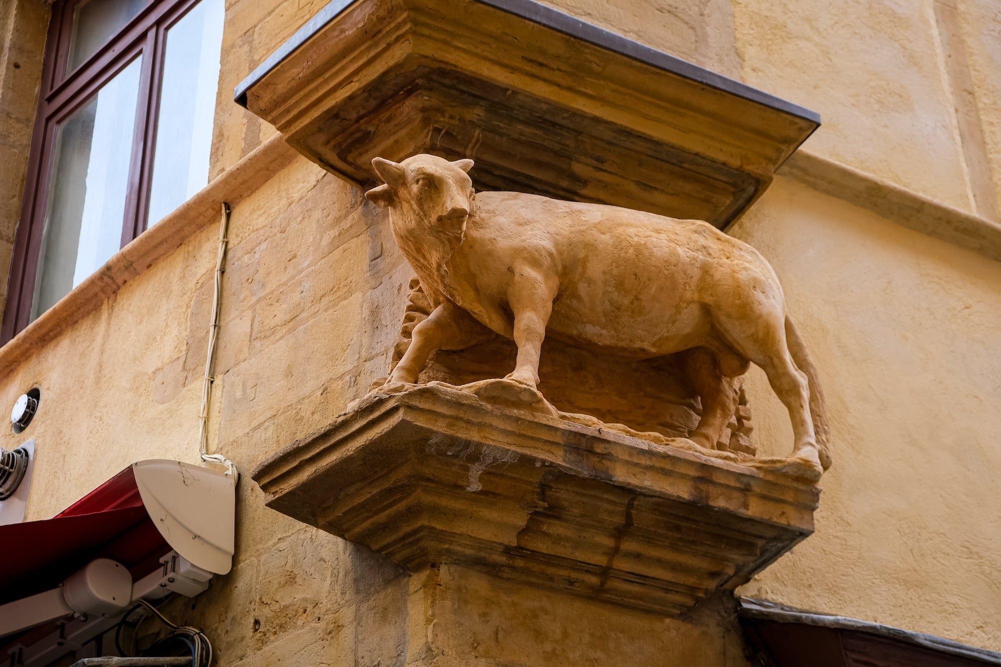 rue-boeuf-lyon-nom-jeu-mots