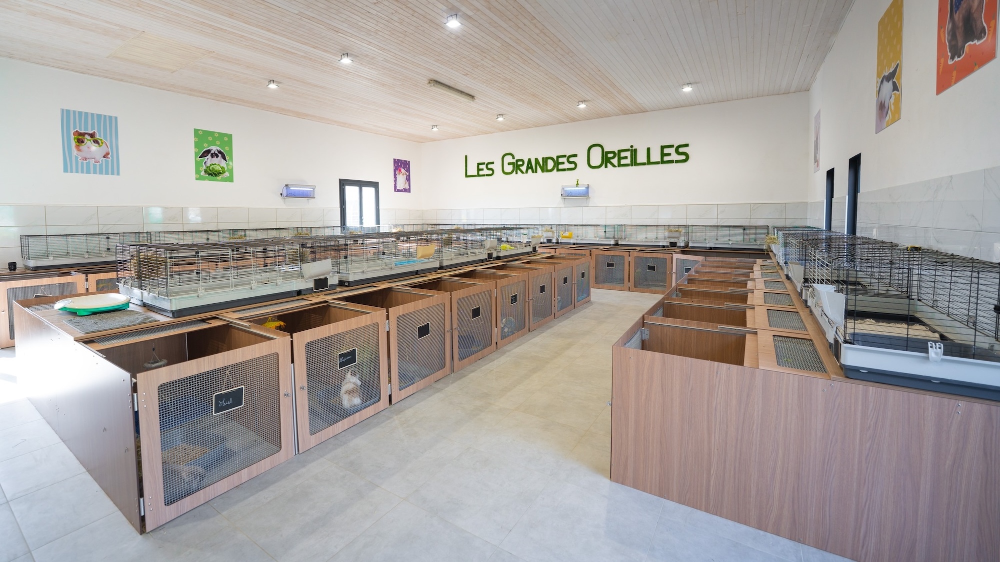 pension-lapins-cochons-inde-chats-1h-lyon