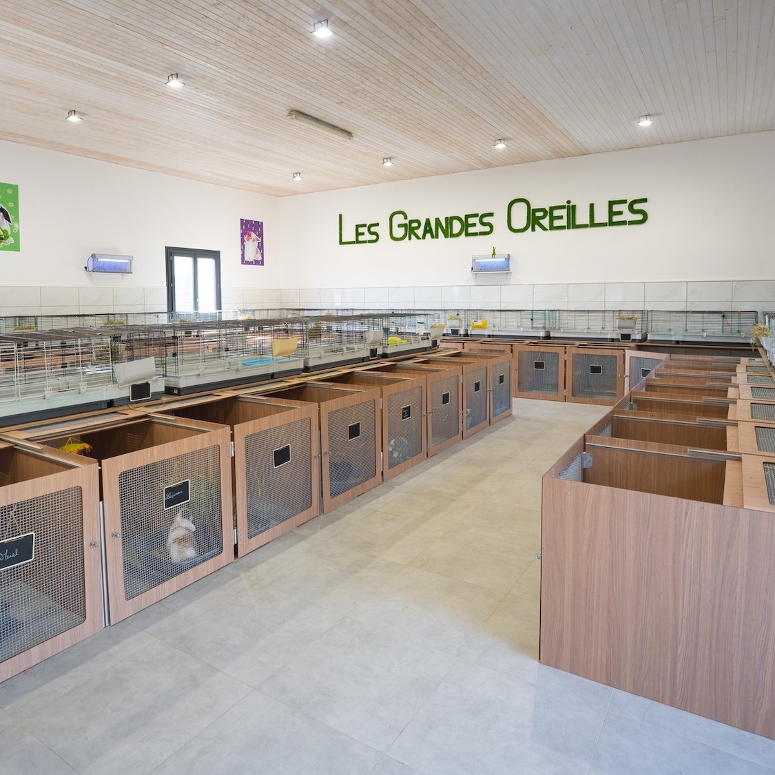 pension-lapins-cochons-inde-chats-1h-lyon