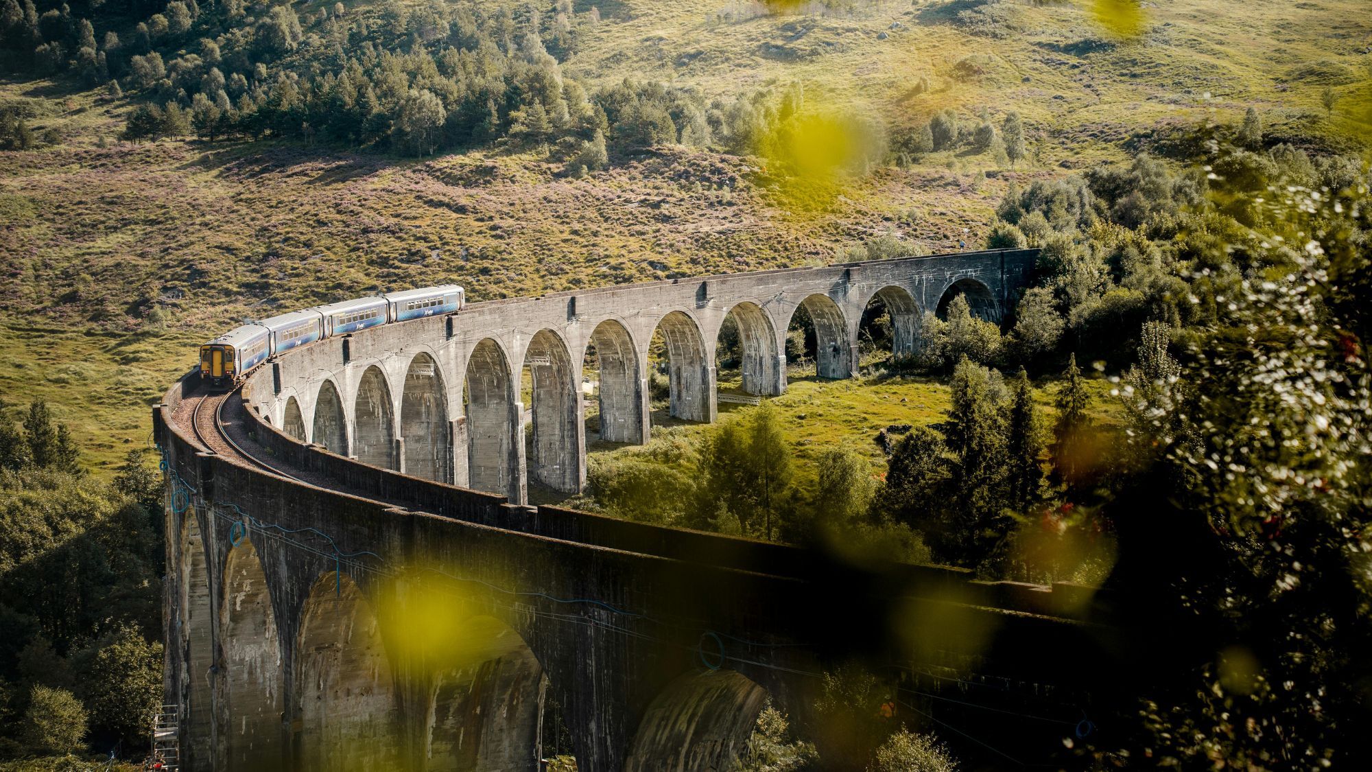 train-montagnes-arbres