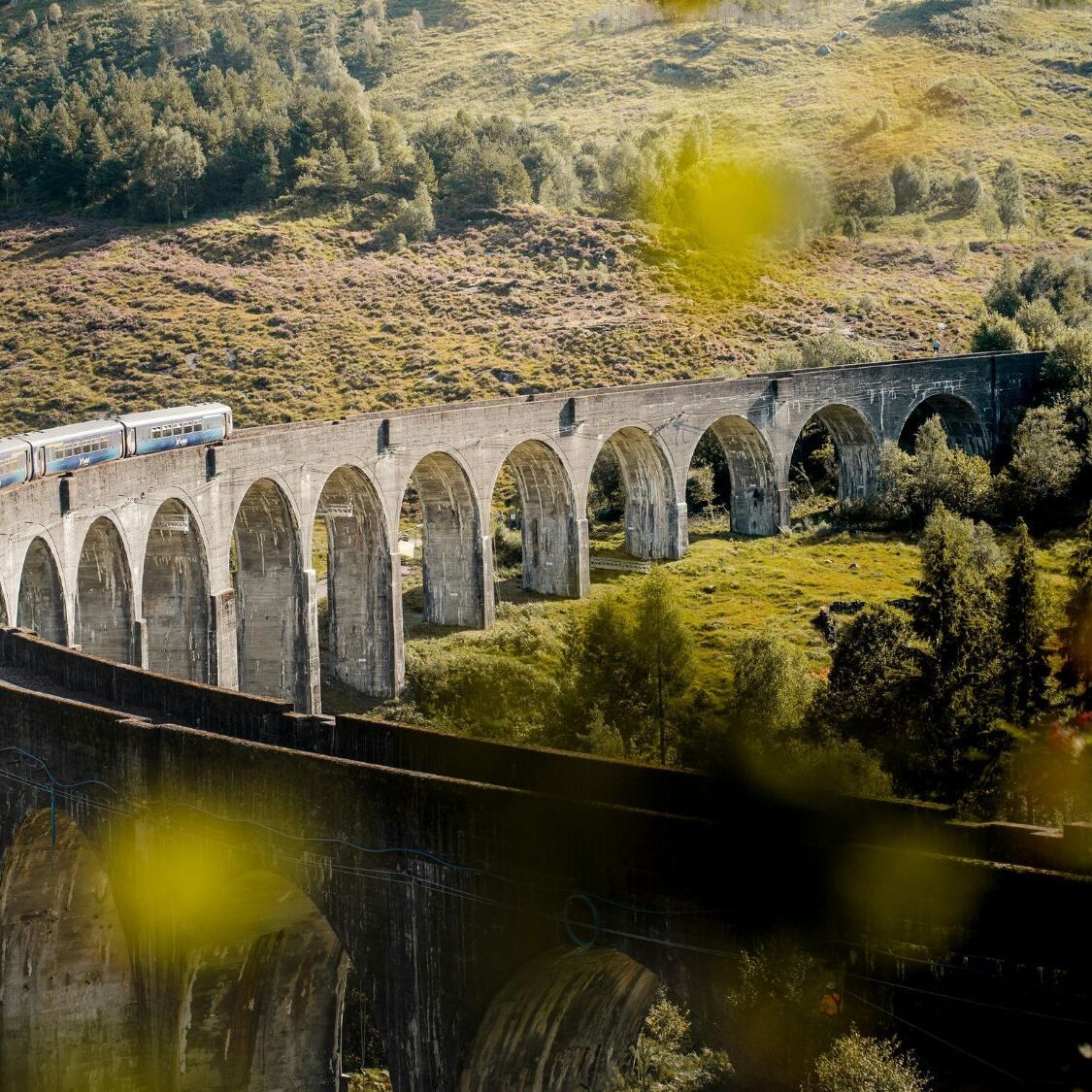 train-montagnes-arbres