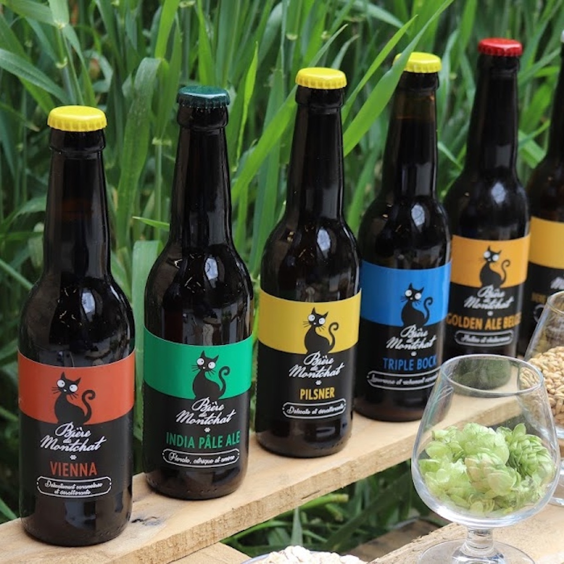 This beer brewed in the heart of Lyon has just won the award for the best beer in the world! triple-bock-microbrasserie-montchat-lyon-meilleure