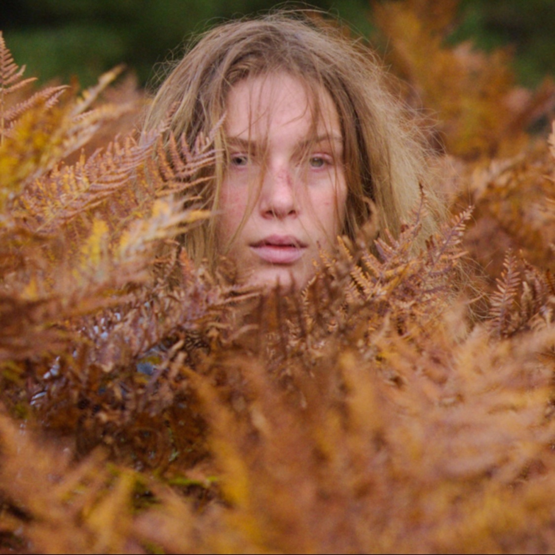 <i> Sauvage </i> : un film touchant inspiré d'une histoire vraie à voir absolument ! sauvage