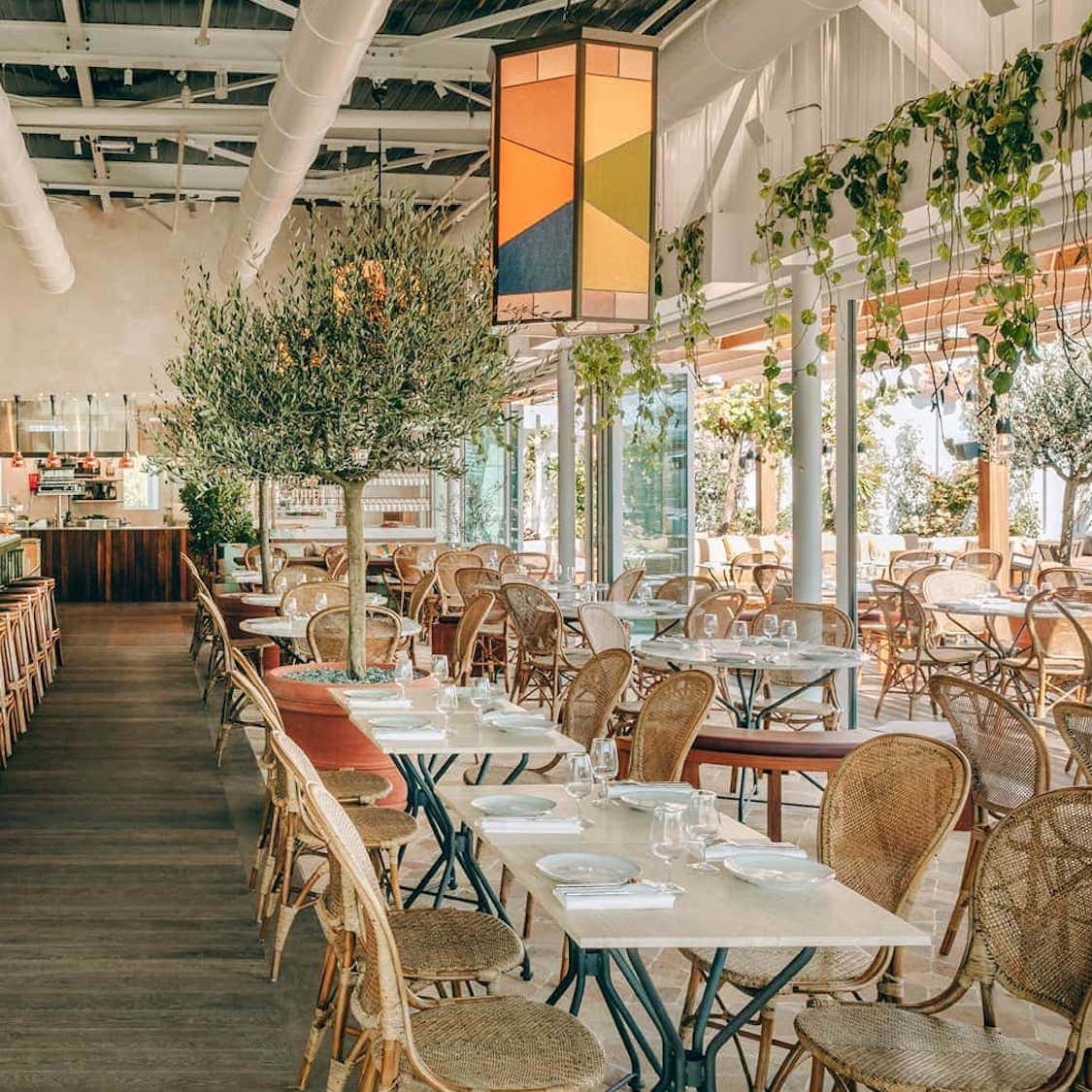 leperchoir-site-photo-etablissement-le-perchoir-po