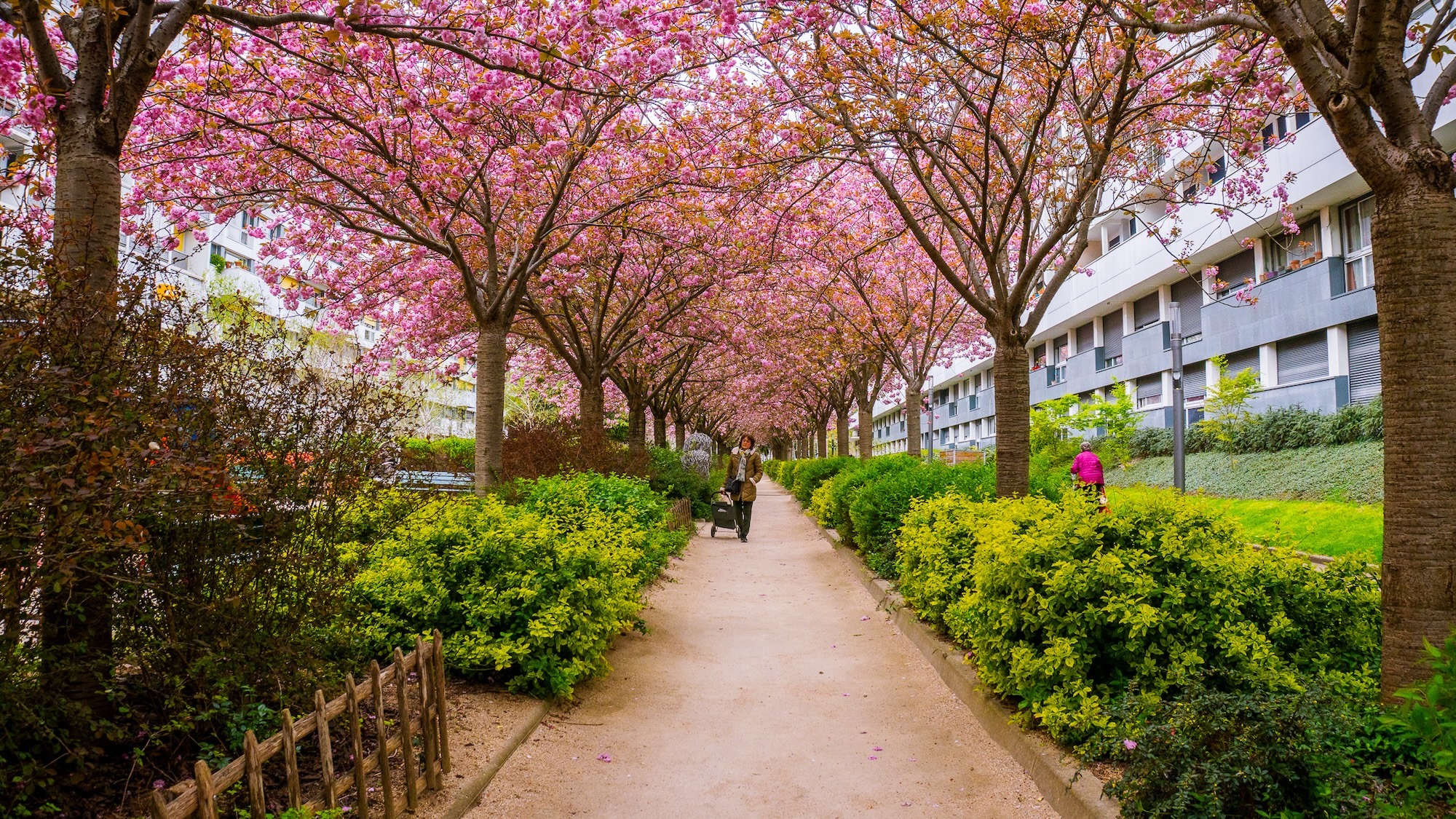 jagoda-bartus-le-bonbon-paris