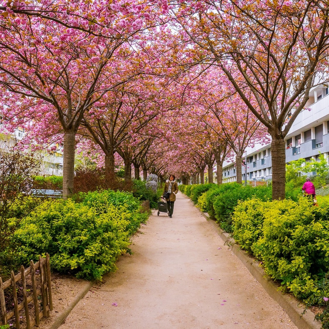 jagoda-bartus-le-bonbon-paris