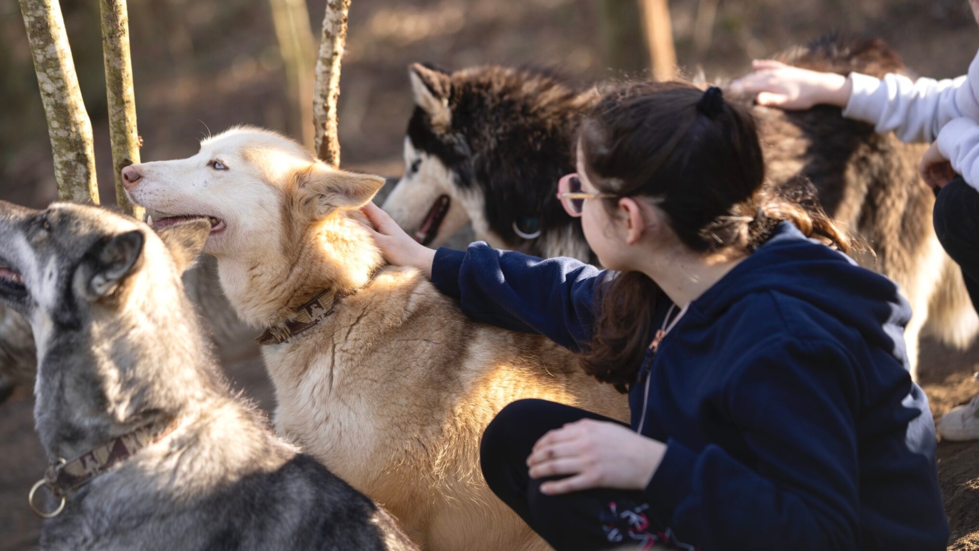 chasse-aux-oeufs-insolites-reims