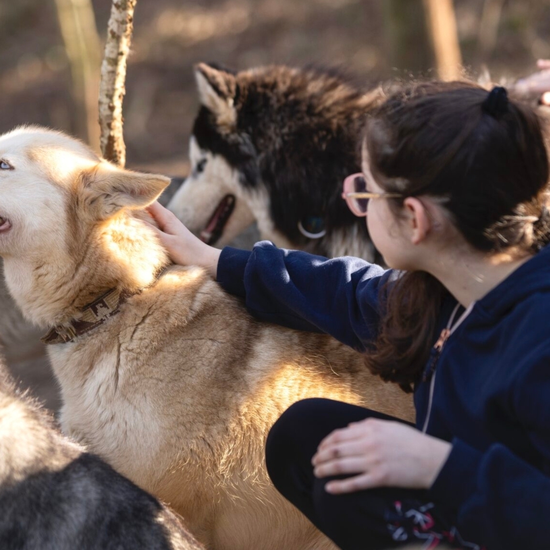 chasse-aux-oeufs-insolites-reims