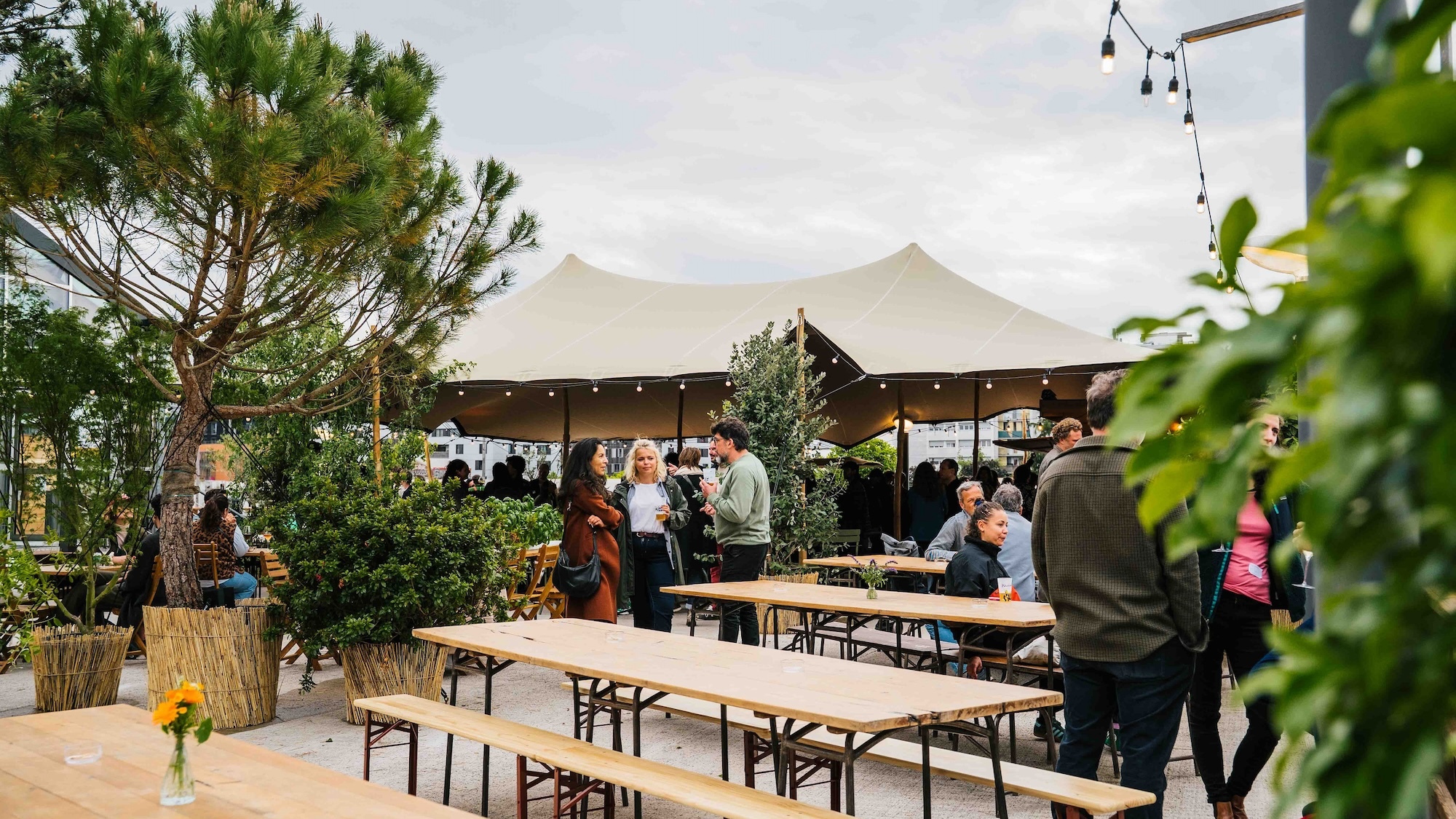 plantation-paris-le-bonbon