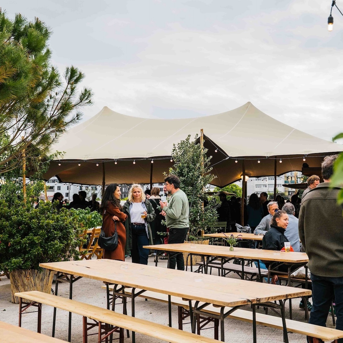 plantation-paris-le-bonbon