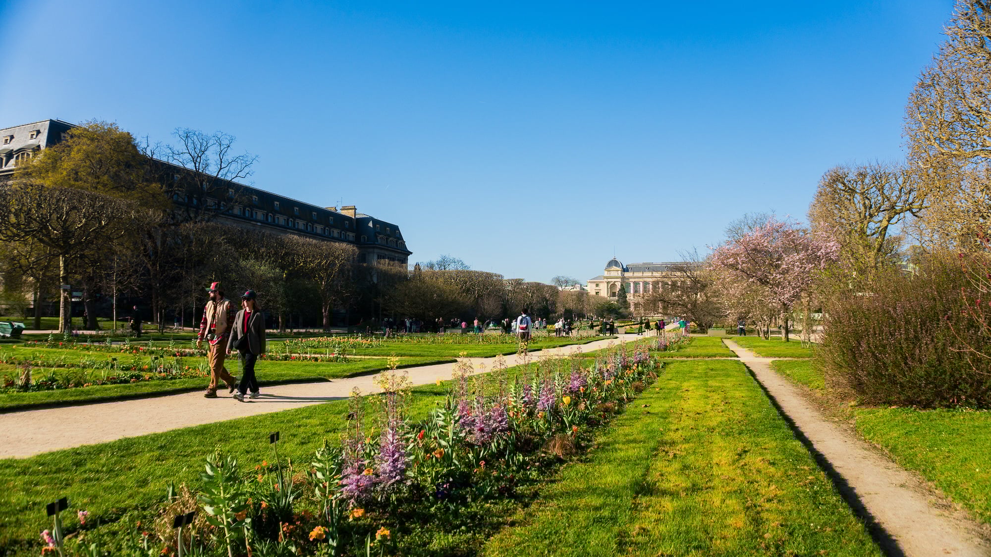 Météo Paris : du soleil et 25°C, une semaine d’été en perspective ! dsc02454