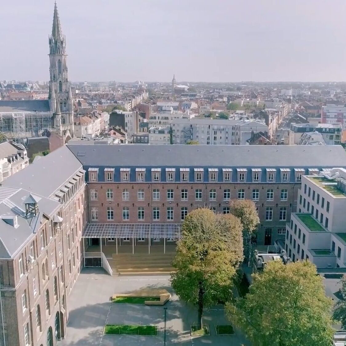 batiment-briques-arbres-ville