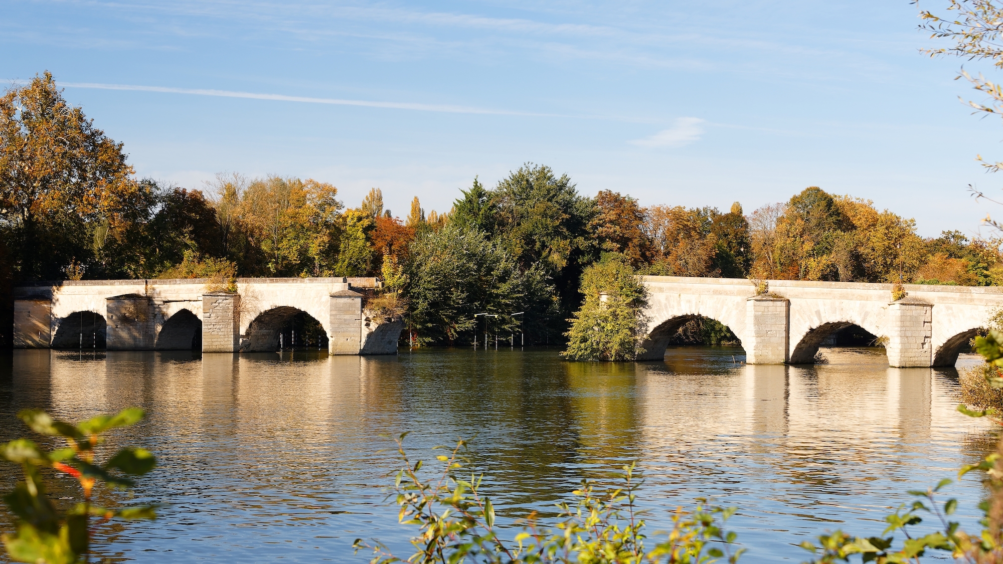 shutterstock-2064304676