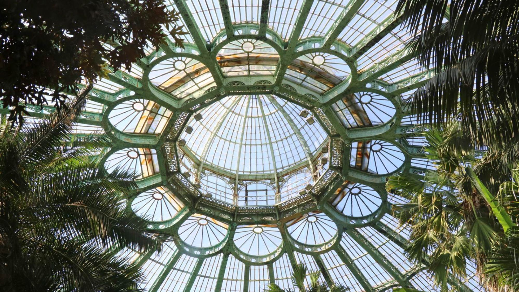 À 1h de Lille, ce joyau de verre n’ouvre que quelques semaines au printemps serre-palmiers