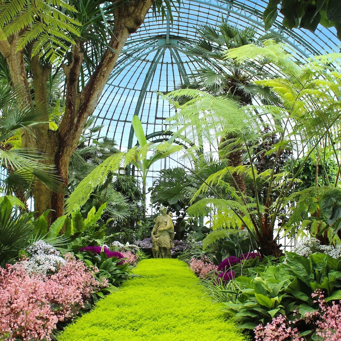 serres-royales-laeken-bruxelles