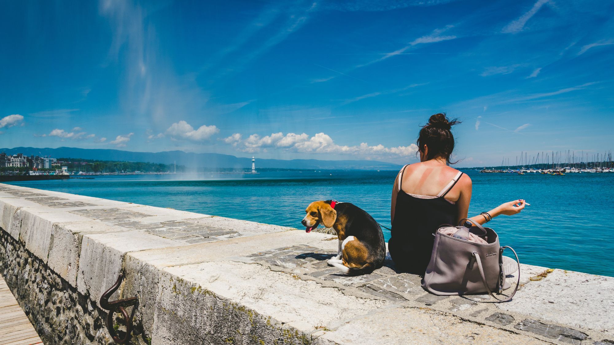 chien-bord-lac-geneve