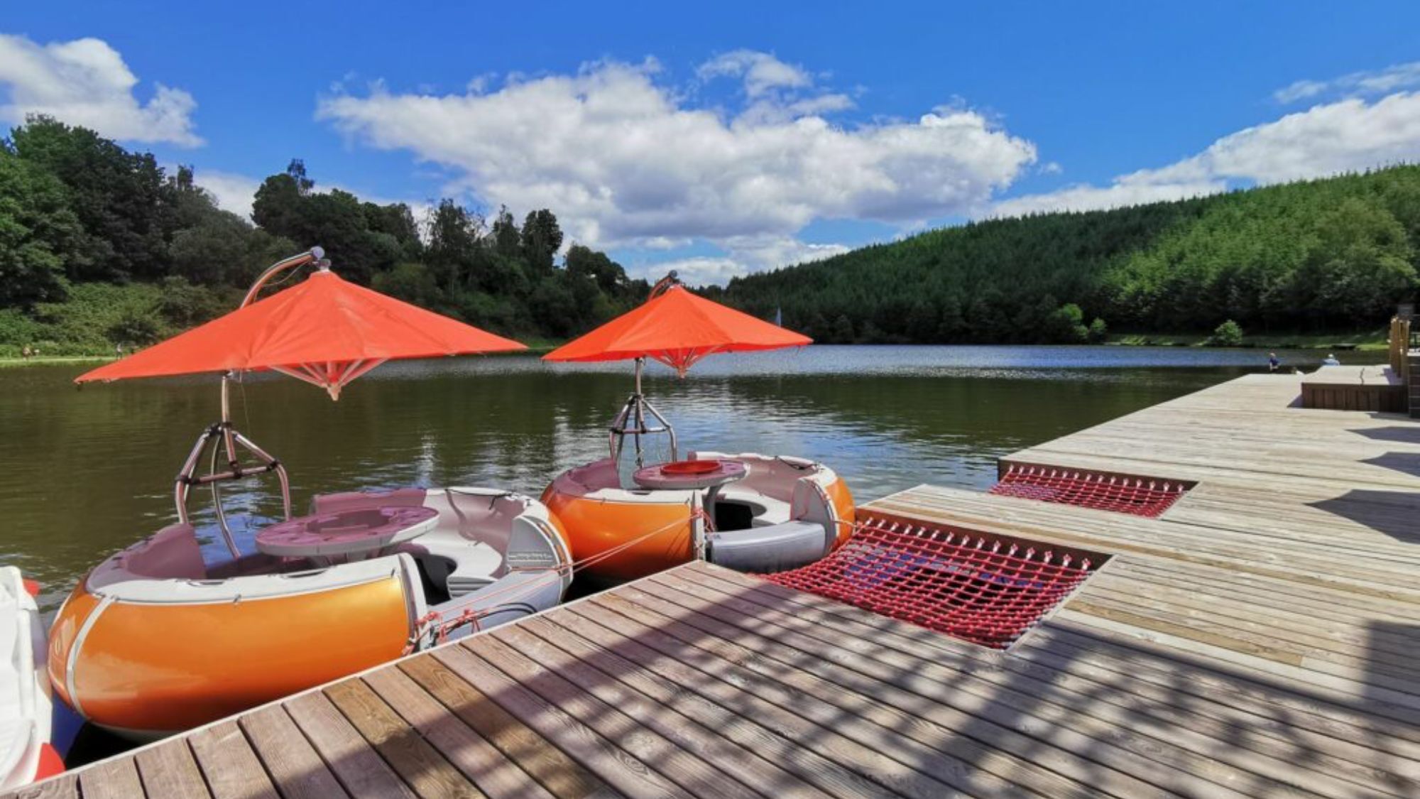 bouees-lac-bois-foret