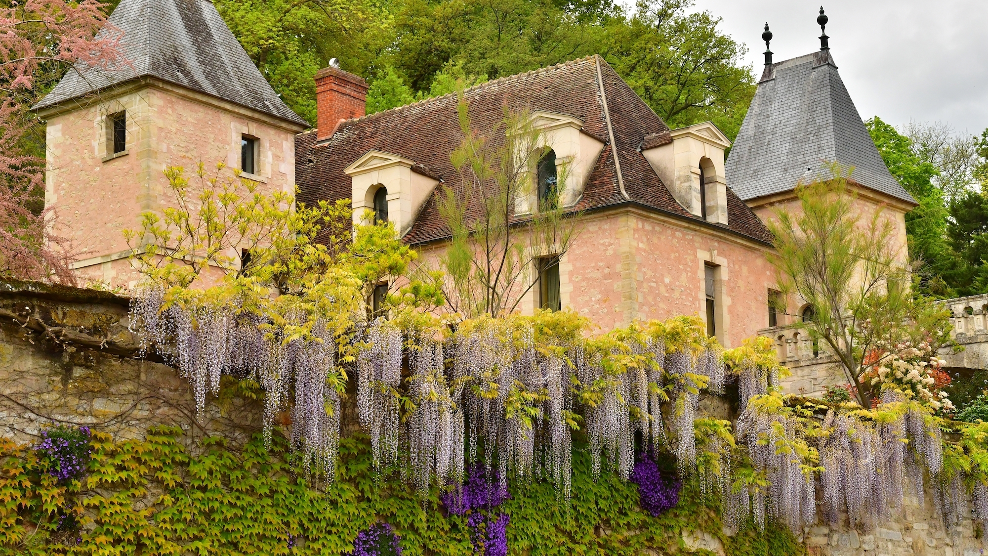 shutterstock-2475178569