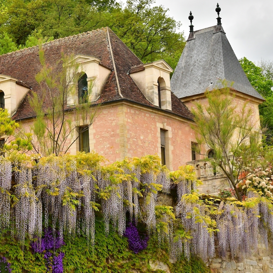 shutterstock-2475178569