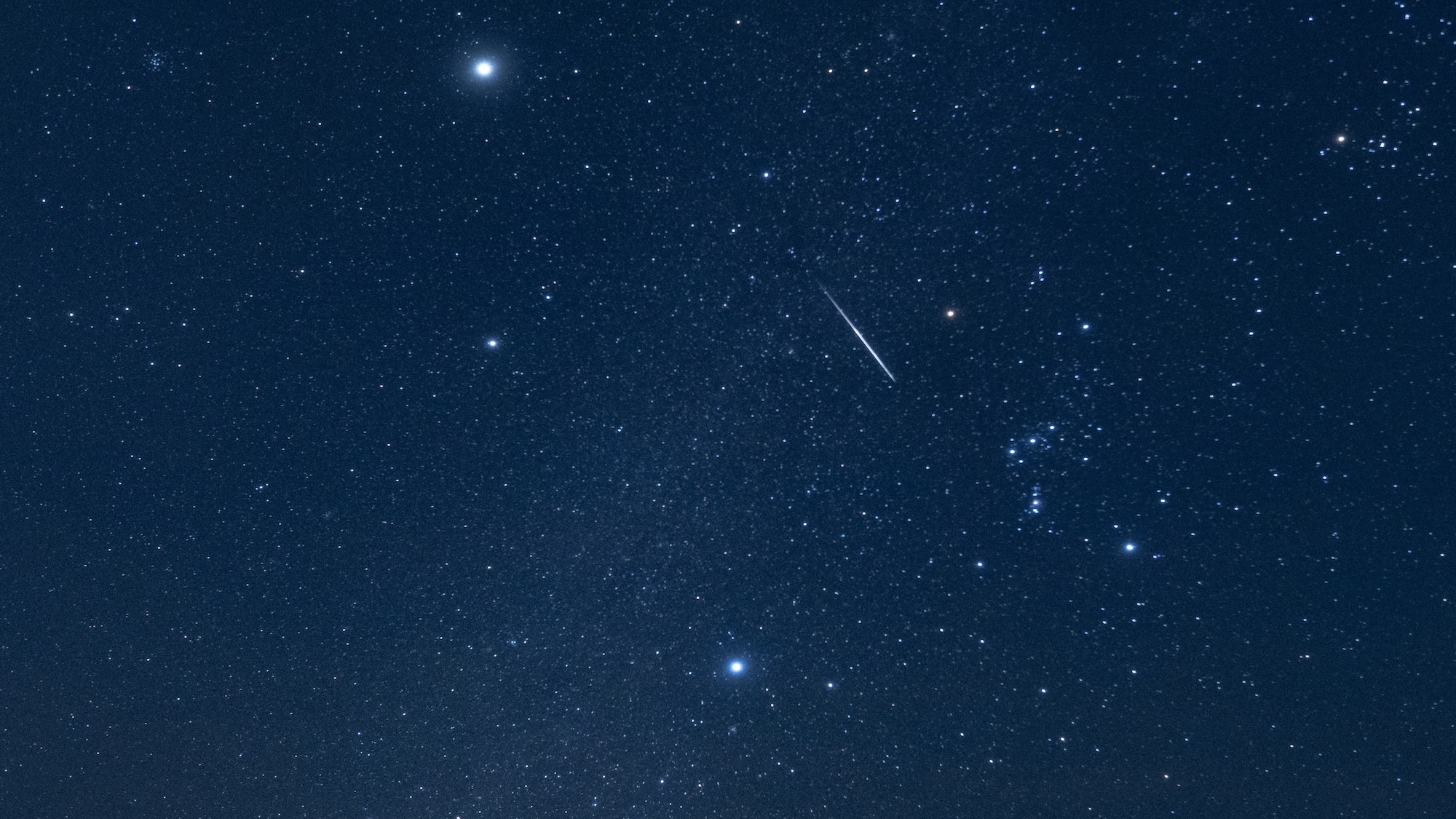 shutterstock-2723271301