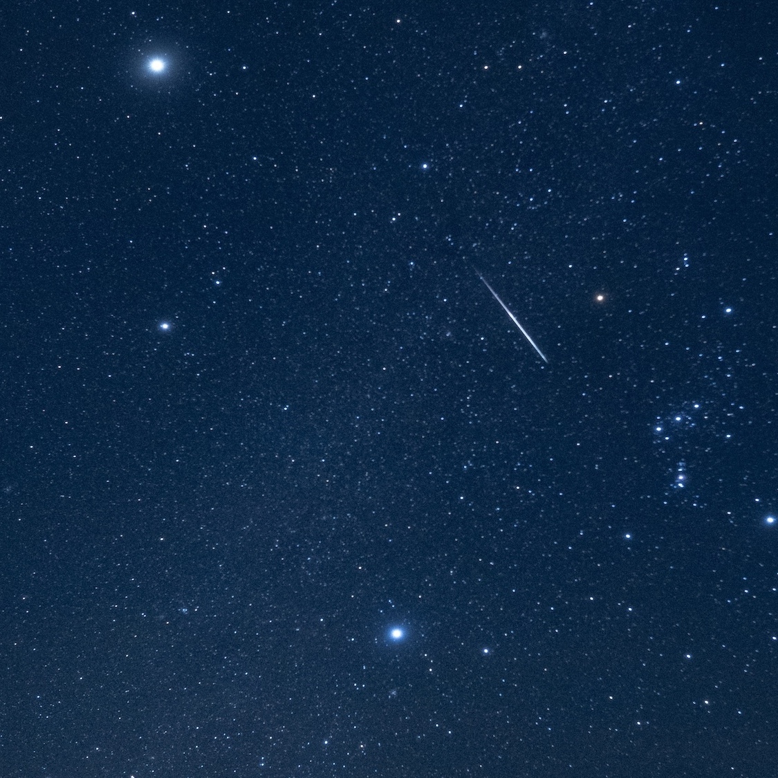 shutterstock-2723271301