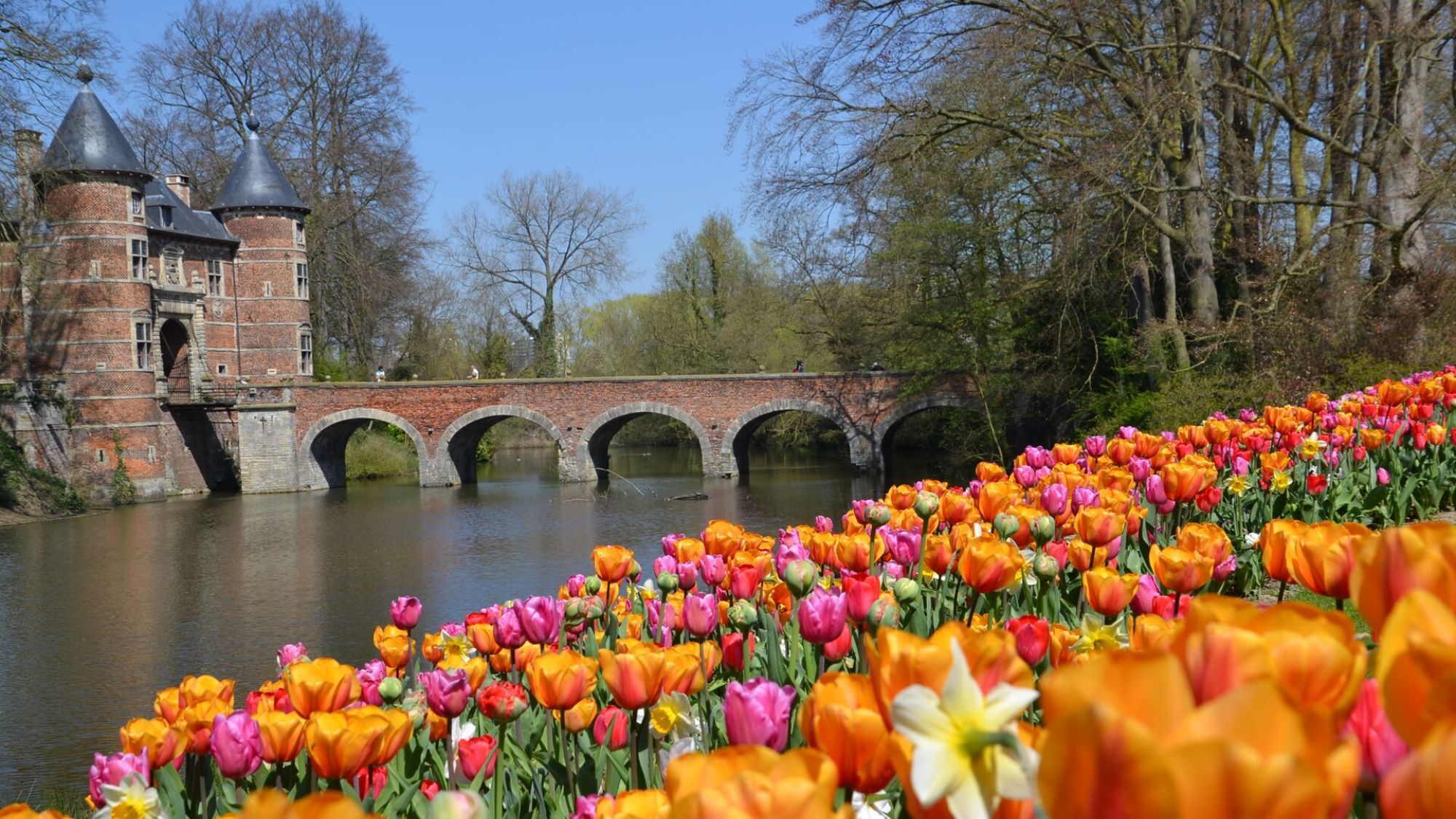 tulipes-chateau-lac-arbres