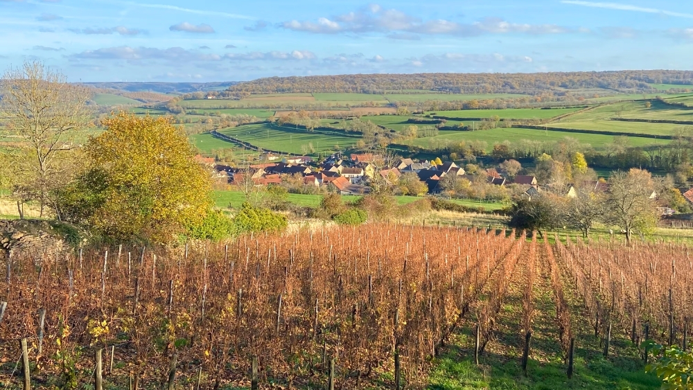 co-telettes-trail-dijon-