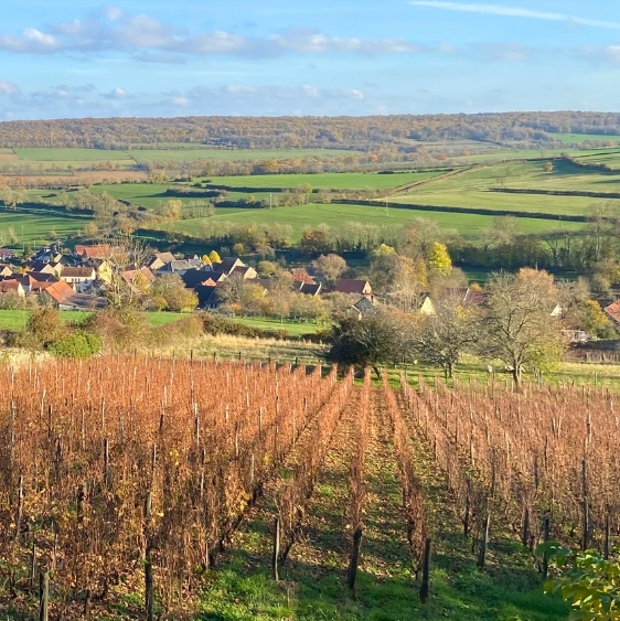 co-telettes-trail-dijon-