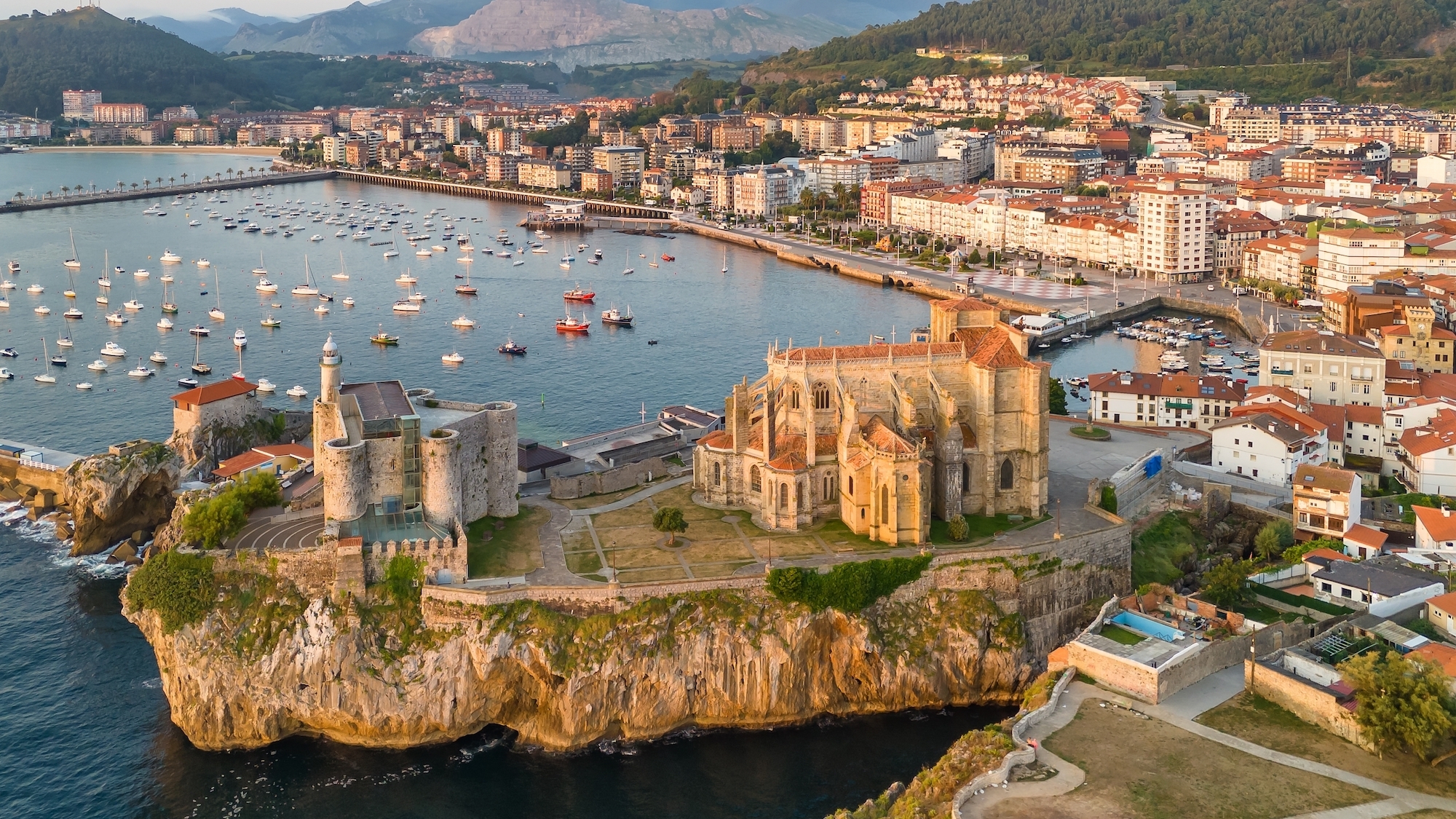 shutterstock-2646753135