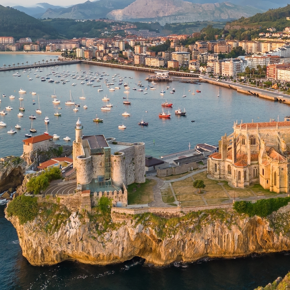 shutterstock-2646753135