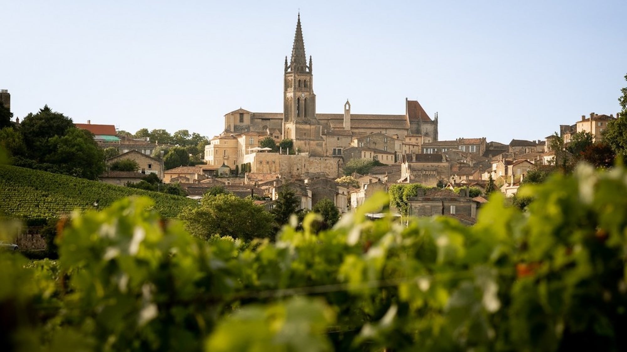 chateaux-saint-emilion