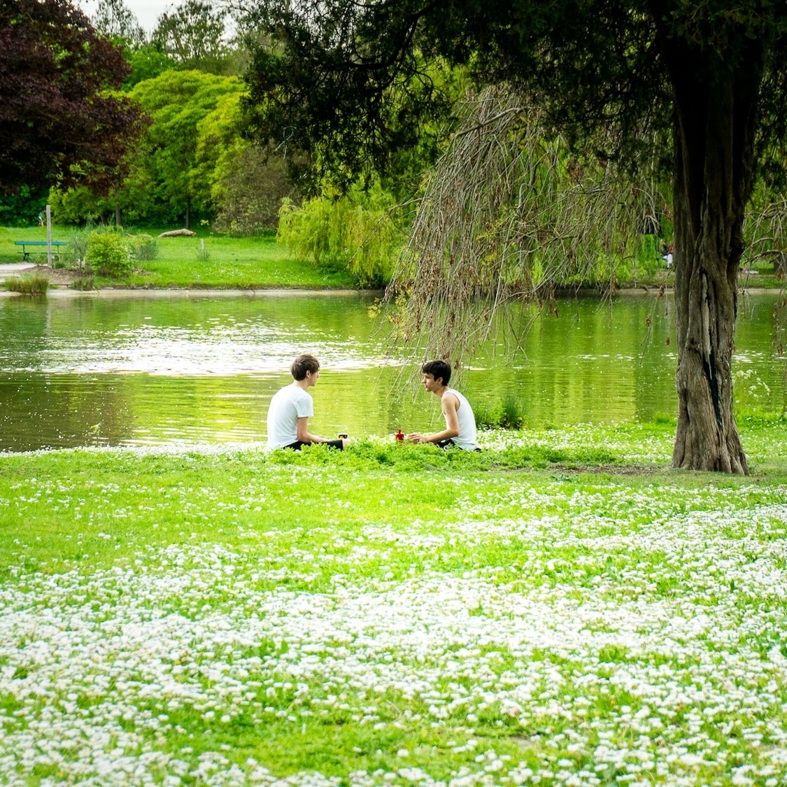 jagoda-bartus-le-bonbon