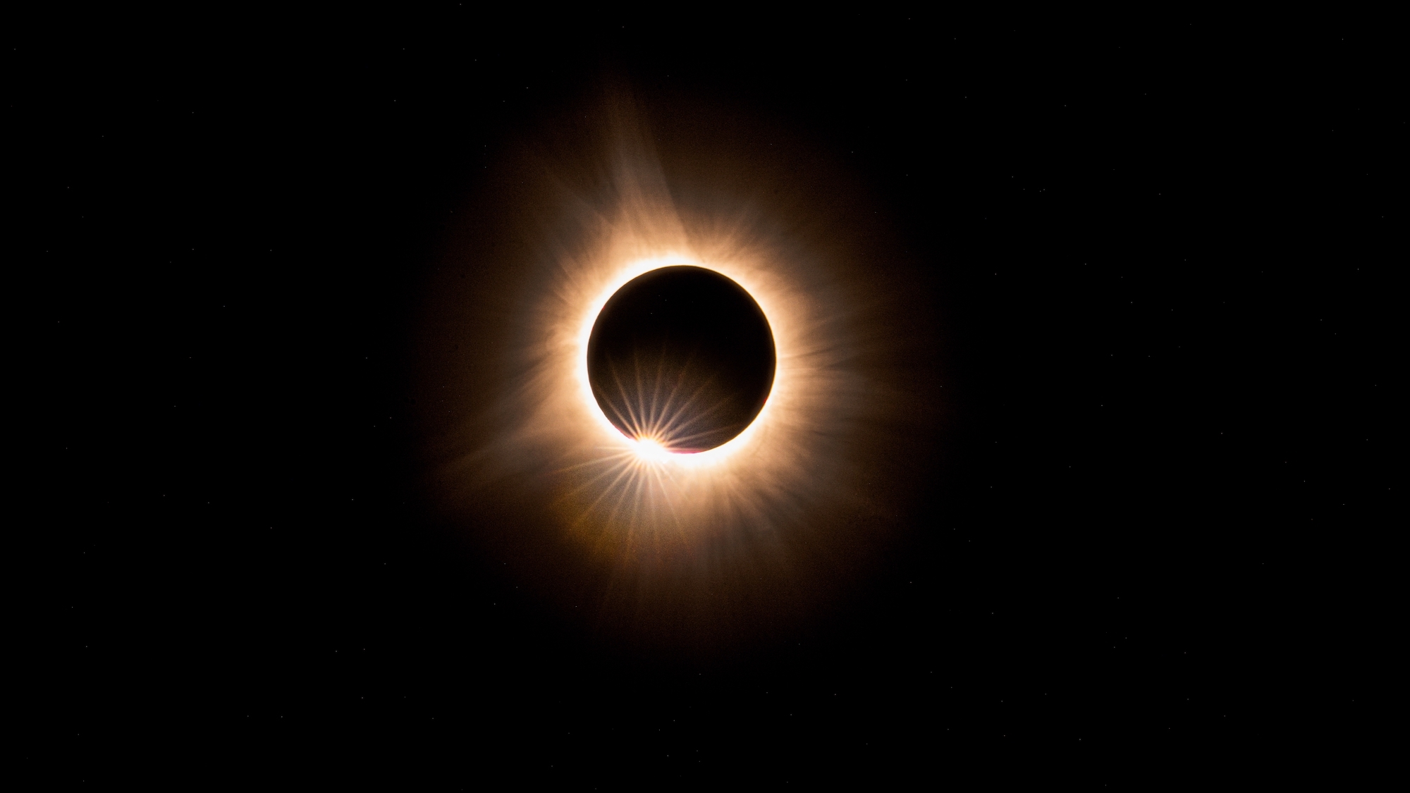 shutterstock-2537123239