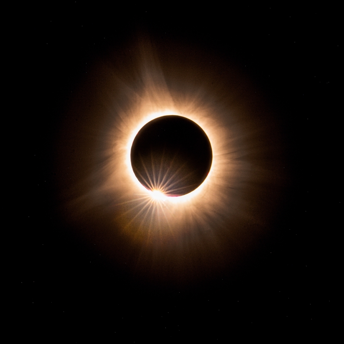 shutterstock-2537123239
